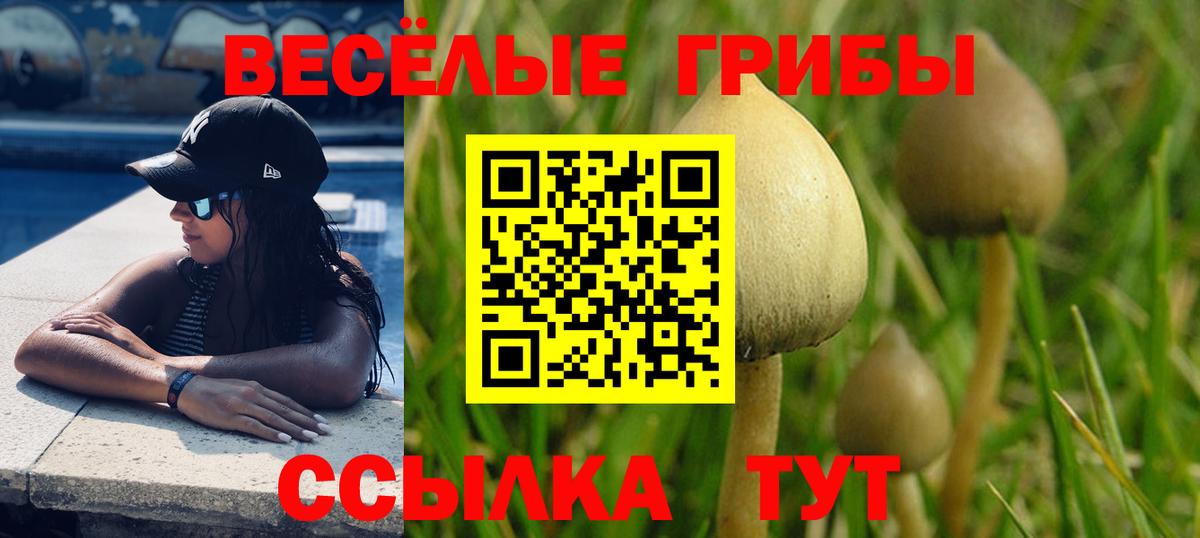 Семилуки  Псилоцибиновые грибы Magic Shrooms  Вход с VPN  Псилоцибиновые грибы Magic Shrooms 